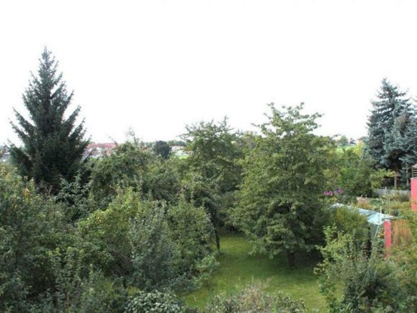 Exklusive Ferienwohnung An Der Elbe Dresden Bagian luar foto